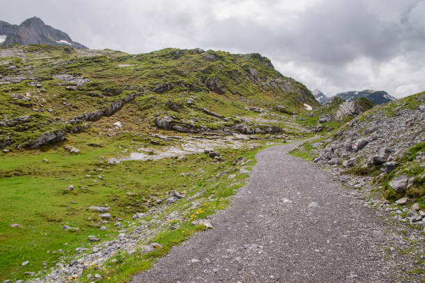 istock Beautiful swiss alpine landscape in summer. 1311975792