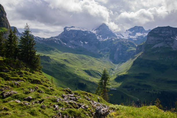 istock Beautiful swiss alpine landscape in summer. 1311976285