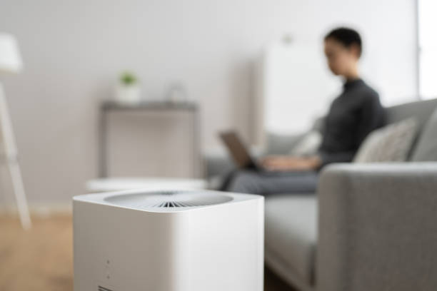 istock African American Woman Using Air Cleaner 1311977731