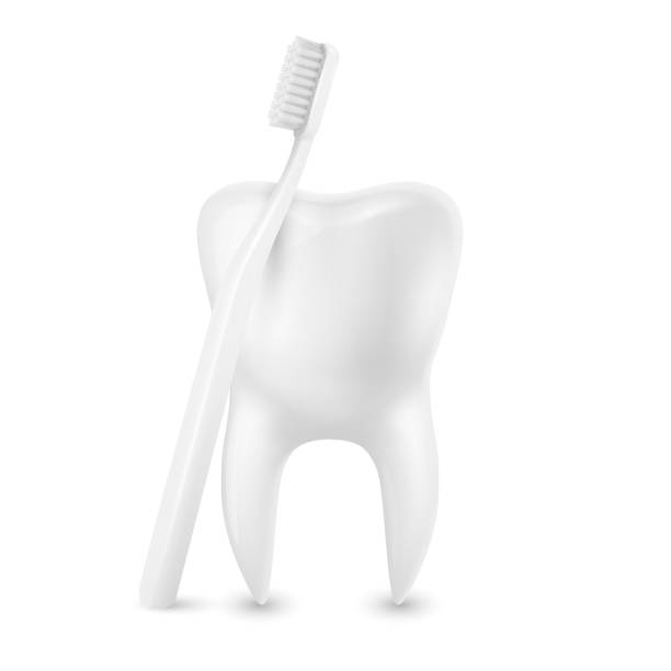 istock Vector 3d Realistic Toothbrush and Tooth Closeup Isolated on White Background. Medical Dentist Illustration. Design Template, Clipart, Mockup. Dental Health Concept 1311977890