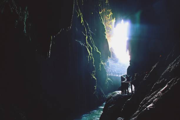 istock Grotto Iris behind the Cola de Caballo waterfall. 1311979315