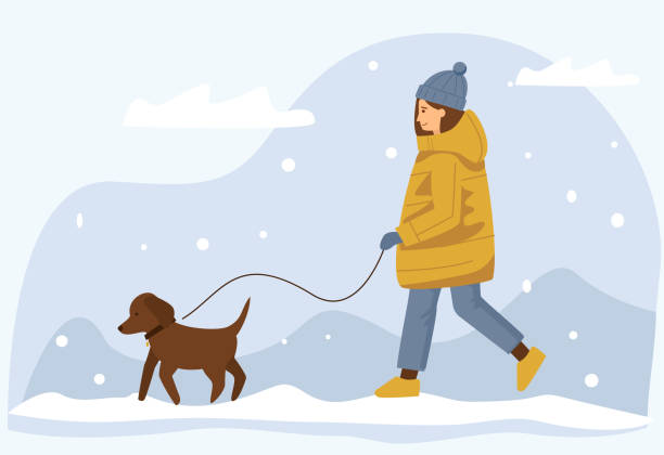 istock Woman in a warm jacket walks her dog in winter. 1311980119