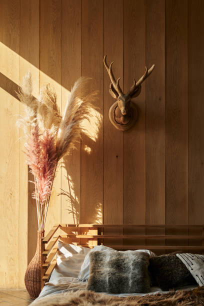istock high pampas grass in scandi-style interior 1311981665