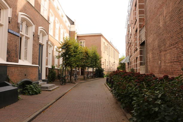 istock Sunny autumn day in s'Hertogenbosch in Holland 1311982461