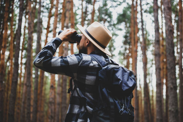 istock Male tourist looking through binoculars in the forest 1311982466