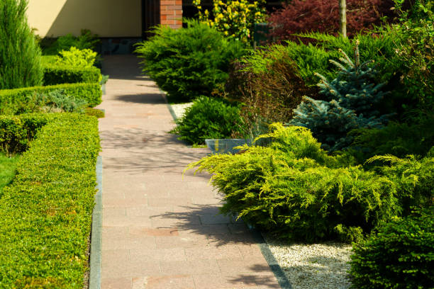 istock a pedestrian path near the house 1311985998