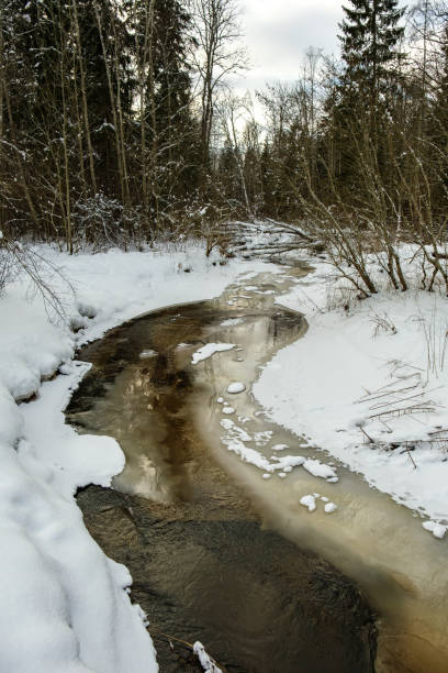 istock frozen river view in forest with ice and snow 1311988512