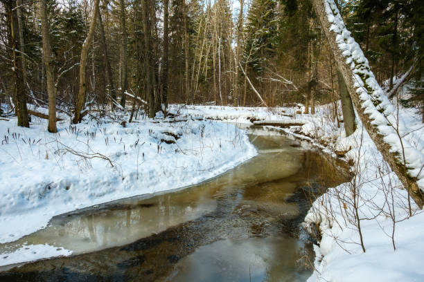 istock frozen river view in forest with ice and snow 1311988534