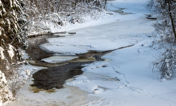 istock frozen river view in forest with ice and snow 1311988548