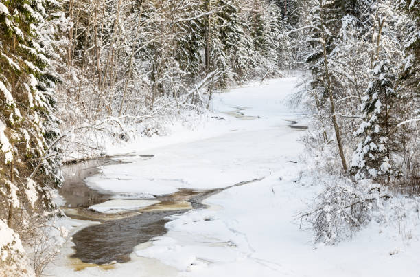 istock frozen river view in forest with ice and snow 1311988557