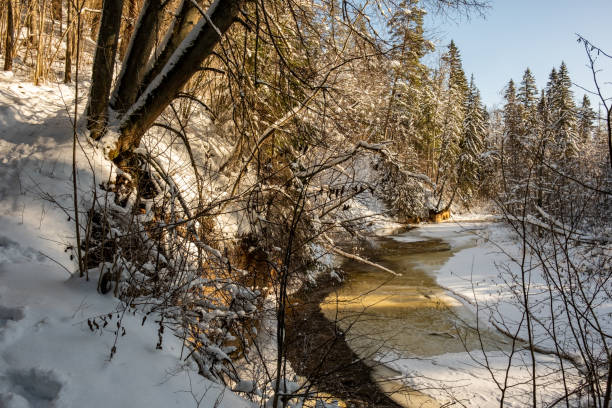 istock frozen river view in forest with ice and snow 1311988559