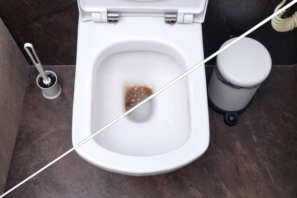 cara membersihkan wc mampet