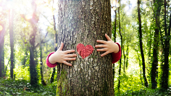 Árbol abrazando - Naturaleza del amor - Niño abrazar el tronco con forma de corazón rojo photo