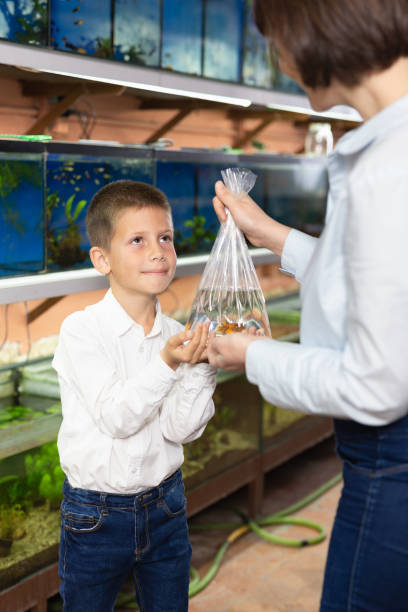istock Boy in pet store with mother 1311992484