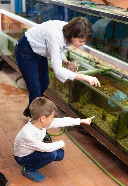 istock Saleswoman catching fish for customer 1311992490