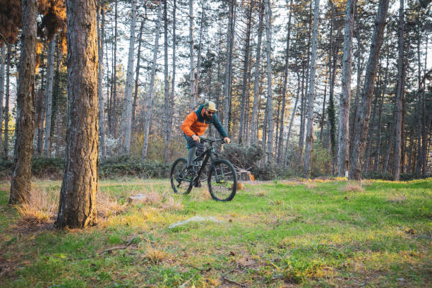 istock Cycling in the woods 1311992780