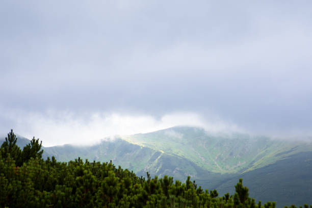 view of summer mountains range. beautiful landscape. copy space