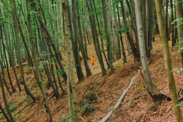 istock man in yellow raincoat hiking by forest 1311992888