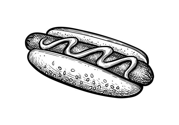 ilustrações, clipart, desenhos animados e ícones de esboço de tinta de cachorro-quente. - hot dog relish white background sesame