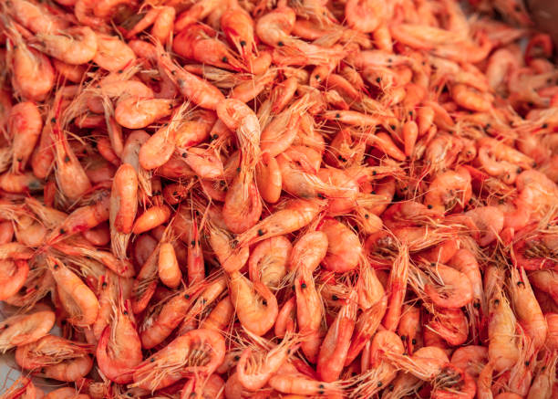 istock Seafood. Many shrimps 1311993201