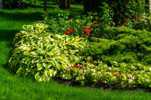 istock flower beds surrounded by flowers and trees 1311993238