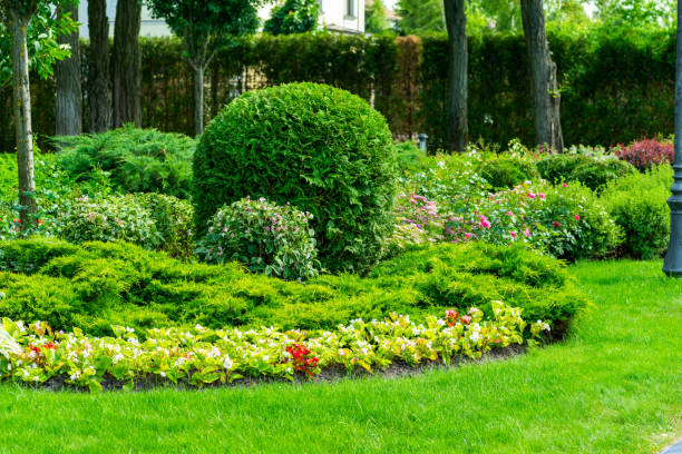 istock flower beds surrounded by flowers and trees 1311993239