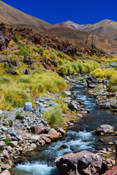 istock Pure and blissful Andes 1311994010