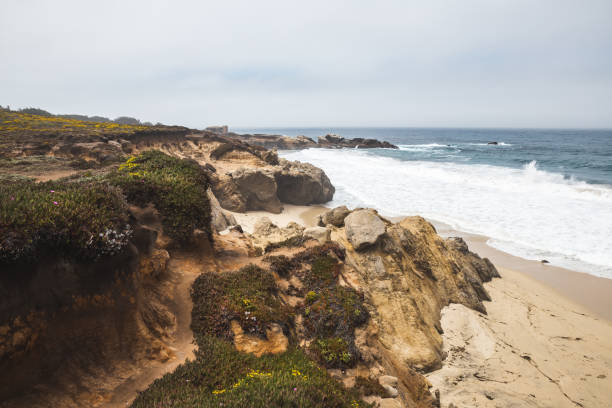 istock Cliffs at sandy beach in Big Sur, California 1311994046