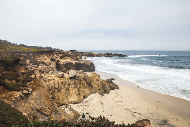 istock Rugged coastline with sandy beach in Big Sur, California 1311994099