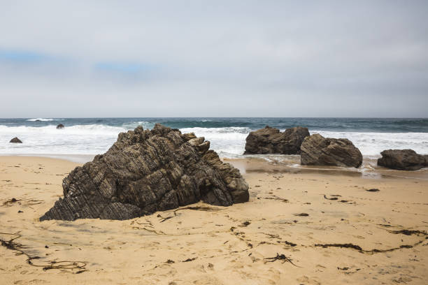 istock Rocks on sandy beach in Big Sur on a cloudy spring day 1311994148