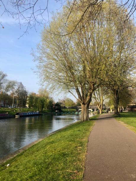 80+ Fotos, Bilder und lizenzfreie Bilder zu Jesus Green iStock