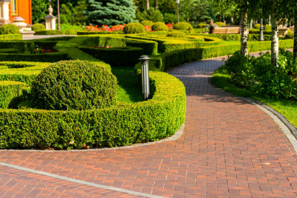 istock a path in a park of stone 1311997952