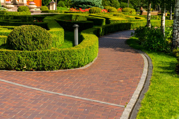 istock A path of tiles in a landscape design 1311997953