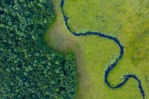 Drone top-down nature picture