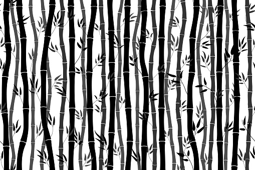 Seamless pattern with a bamboo silhouette on a white background. Black and white background with bamboo stalks and leaves. Vector illustration, texture