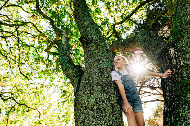 istock Girl playing in forrest 1312000347
