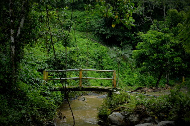 istock Scenic view of little bridge above a small river 1312000353