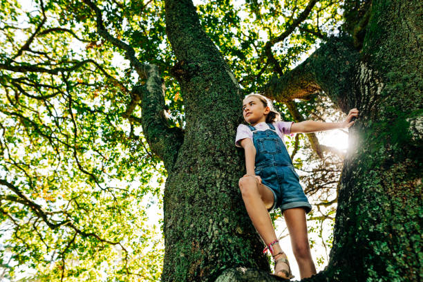 istock Girl playing in forrest 1312000991