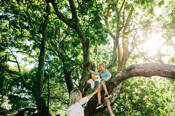 istock Family having fun playing in a forrest 1312001288