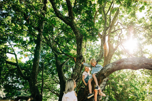 istock Family having fun playing in a forrest 1312001437
