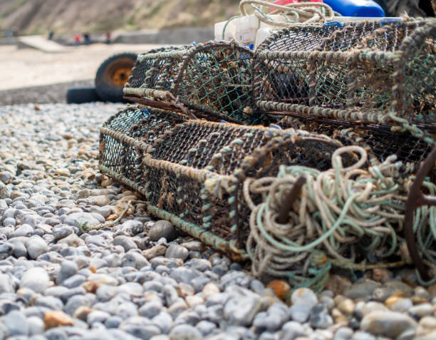 istock Fishing tackle on the beach 1312001439