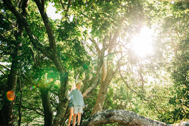 istock Family having fun playing in a forrest 1312001463