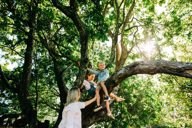 Mother and children playing in a forrest. Climbing a tree and laughing