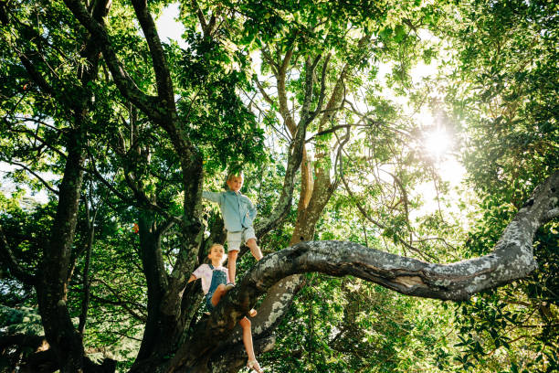 istock Family having fun playing in a forrest 1312002470