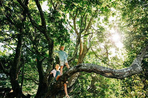 Mother and children playing in a forrest. Climbing a tree and laughing
