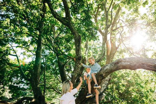 istock Family having fun playing in a forrest 1312002473