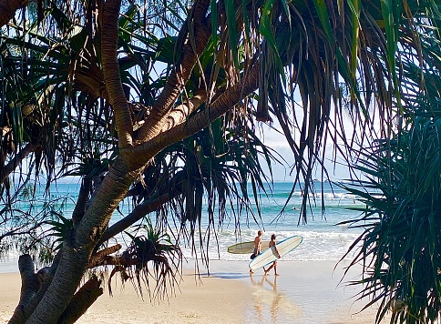 Horizontal Seascape of young man and woman surfers holding surfboards walking on sand looking out to pastel blue breaking waves with tropical island pandanus tree frame at Wategos Beach Australia