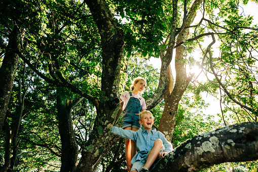 Mother and children playing in a forrest. Climbing a tree and laughing