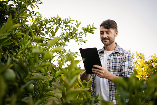 Man using smart phone and digital tablet to purchase something in agricultural field.