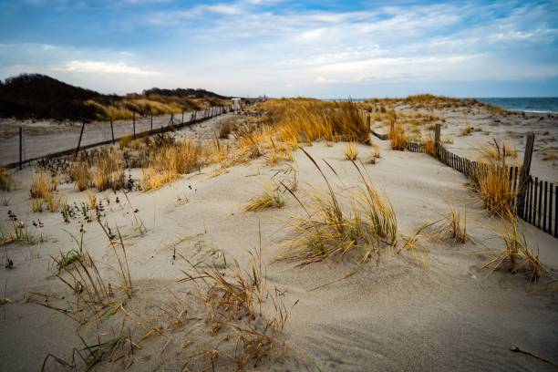 istock Natural and beach scenery around New York suburb in Winter 1312006814